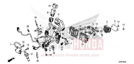 KABELBAUM (CRF250RJ) CRF250RJ de 2018